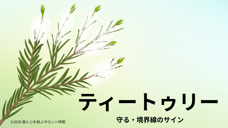 ティートゥリーの葉と枝｜子どもの心の境界線を象徴する香り
